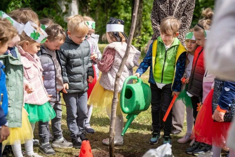Rybnik zazieleni się dzięki pół tysiącu nowych drzew